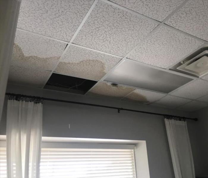 Ceiling tiles and wall with water damage